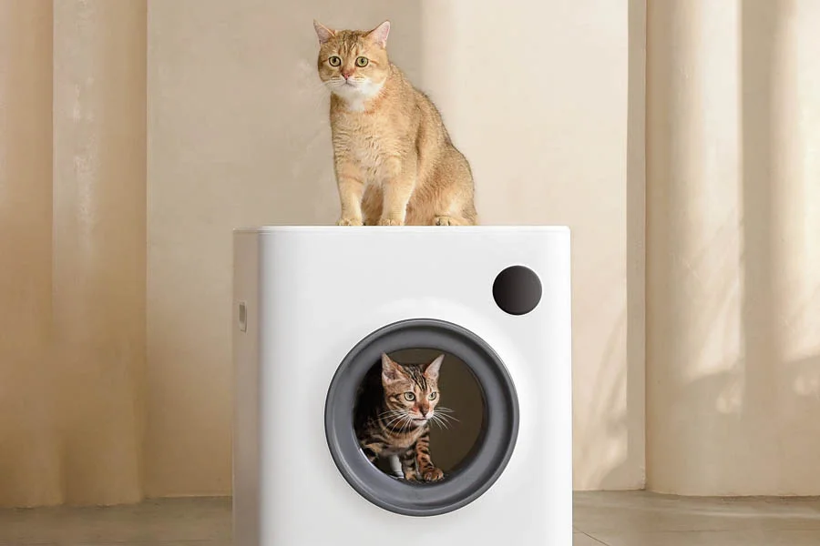 self cleaning litter box review